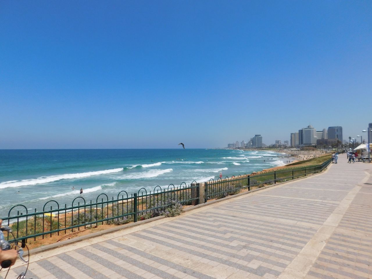 Explore the vibrant Tel Aviv beachfront with its stunning sea views and bustling promenade.